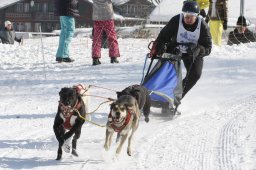 Lenk 2012 SM